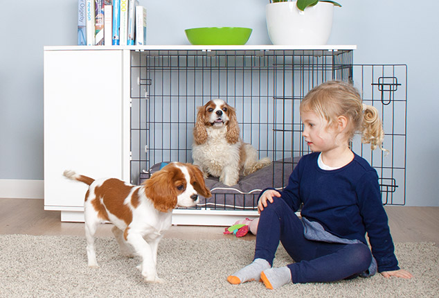 The Fido Studio is ideal for puppies and fully grown dogs