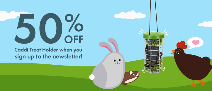 UK_50_Off_Caddi_Newsletter_sign-up_V02_Misc_Banner_Desktop.png