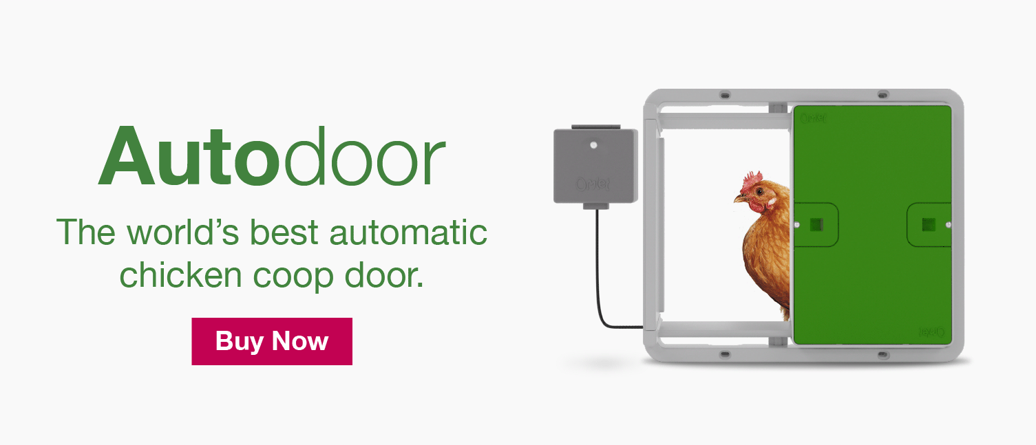 Autodoor Banner