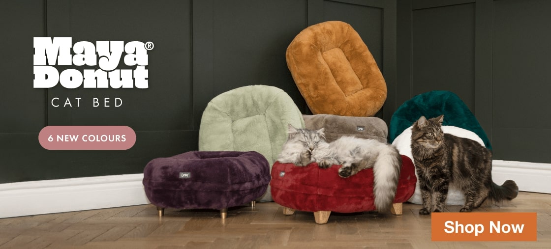 Omlet Maya donut cat bed