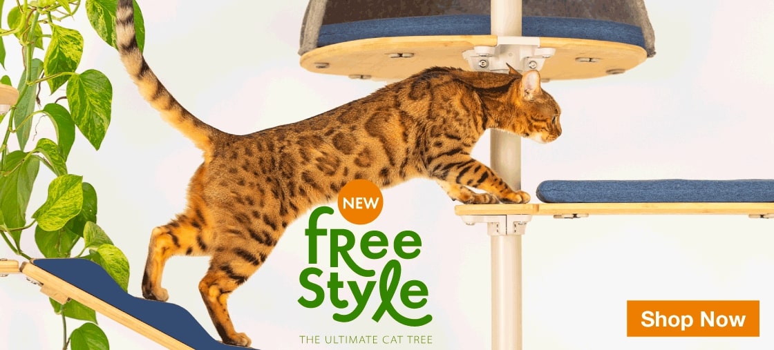 Cat climbing onto indoor cat tree bridge.