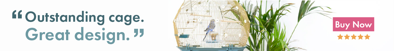 Geo Bird Cage