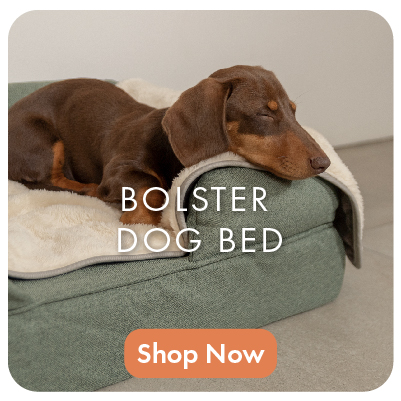 Dog Memory Foam Bolster Bed