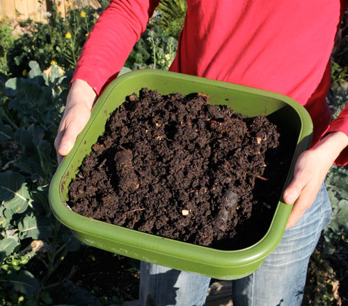 The Hungry Bin makes compost harvesting easy!