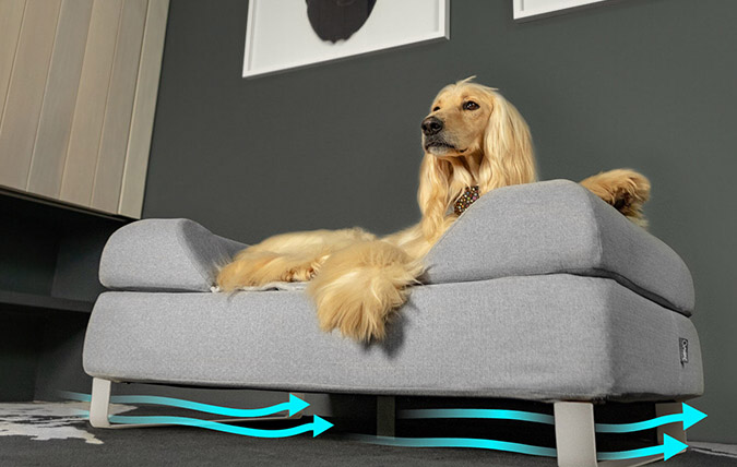 Dog laying in topology elevated dog bed with feet to improve airflow and hygiene