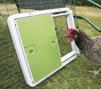 The Autodoor works on all types of chicken run