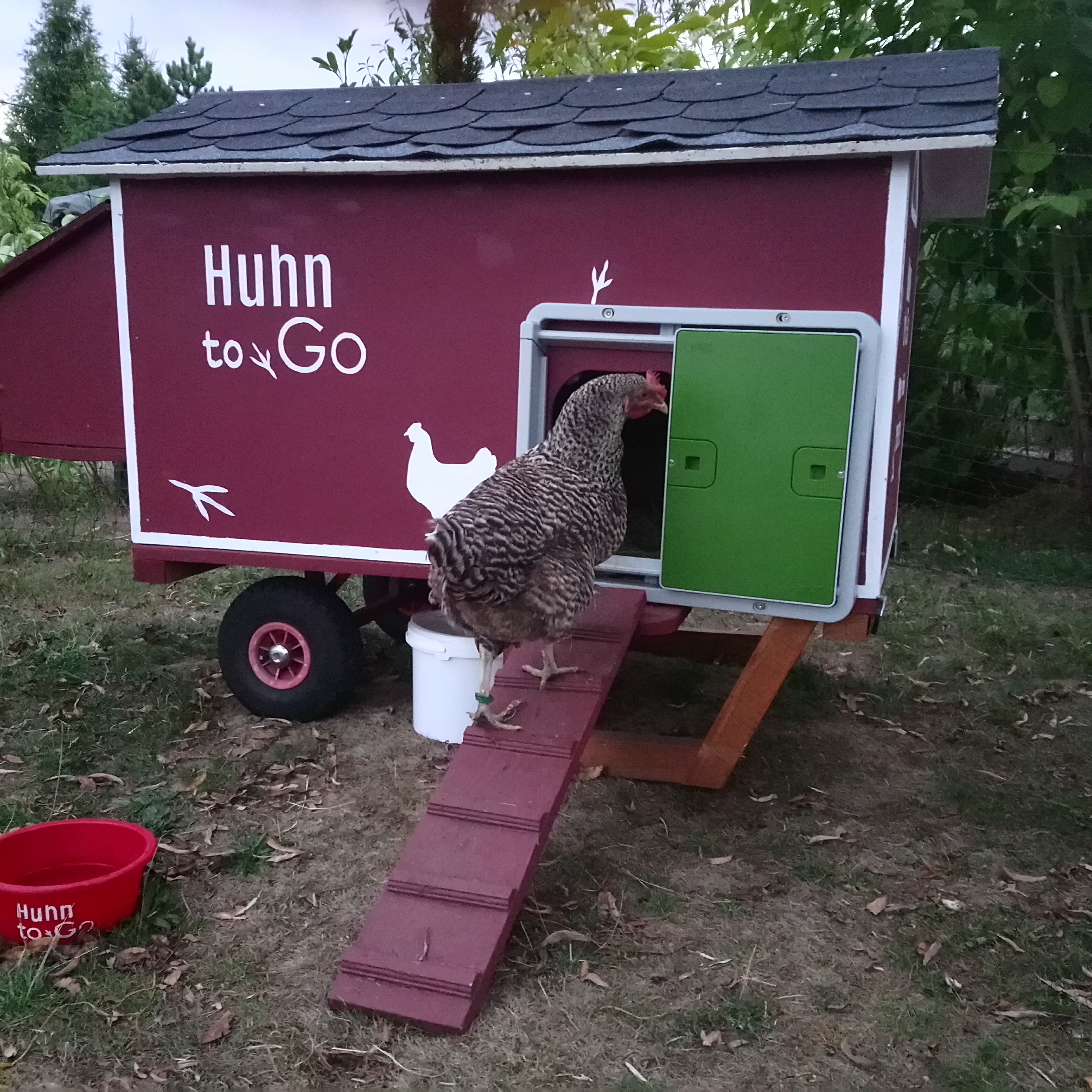 automatic chicken coop door sideways automatic chicken coop door sideways