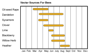 source of nectar for bees
