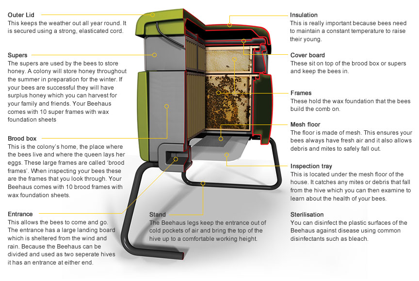 The Components of the Beehaus