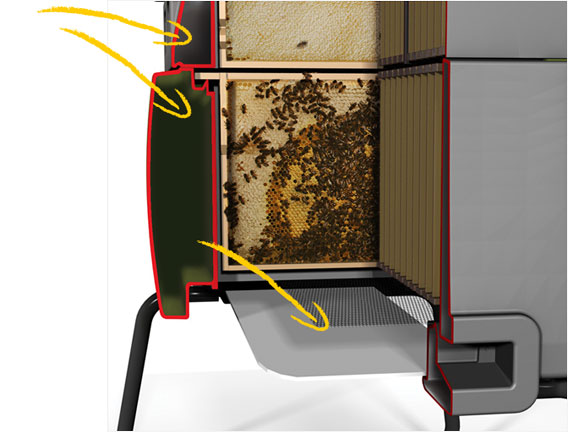 Twin Wall Insulation keeps your bees cool in the summer, and warm in the winter!