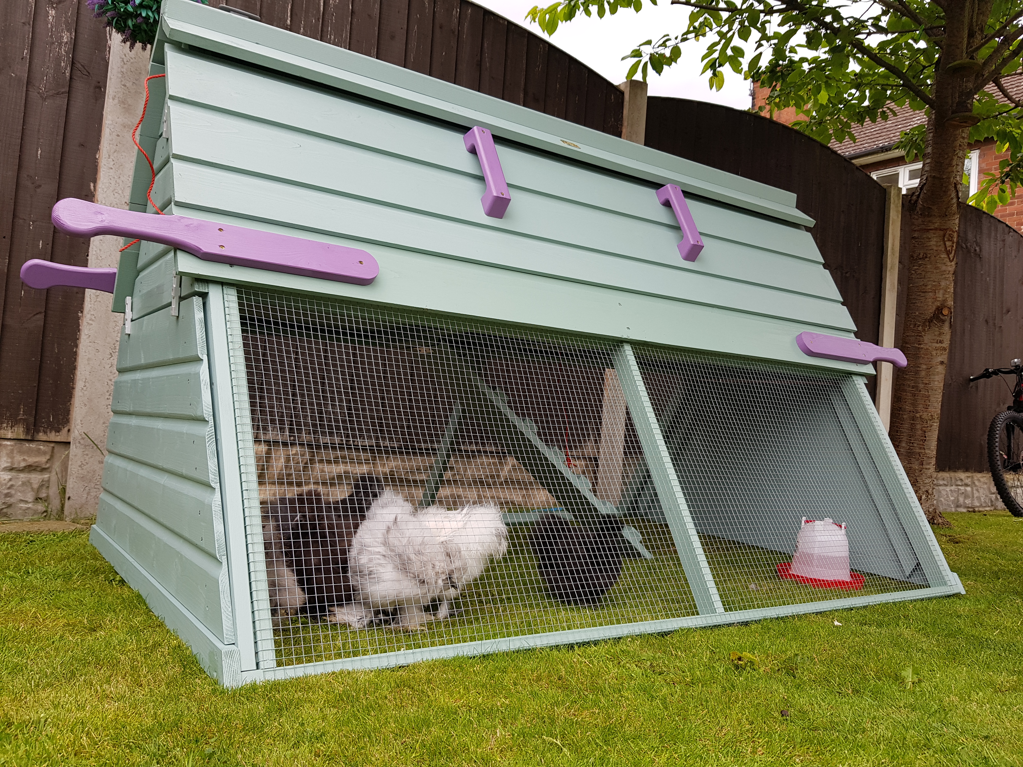 Boughton Chicken Coop By Forsham Cottage Arks Chicken Coops Walk