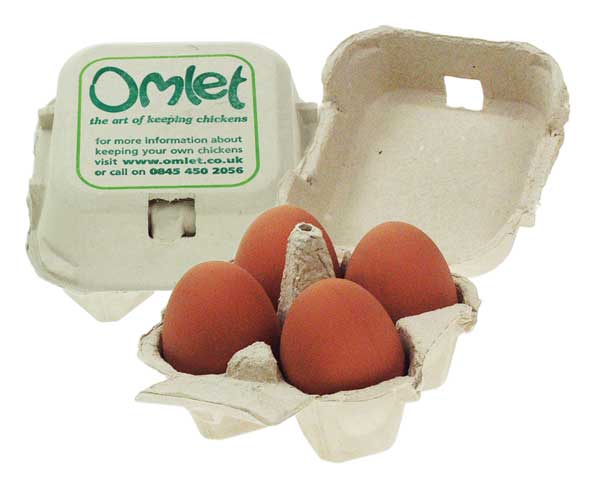 Artificial eggs look and feel just the real thing and can be used to fool a hen into becoming broody.