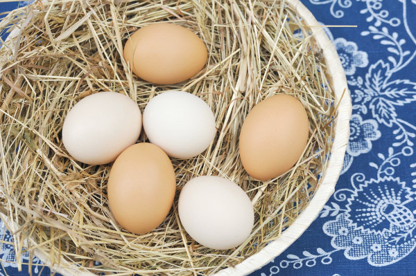 Collecting your egg in a basket with straw