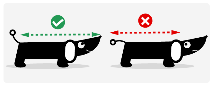 Dog bed size guide