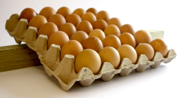 You store your eggs on a tray. Using a wooden block to rock them backwards and forwards each day