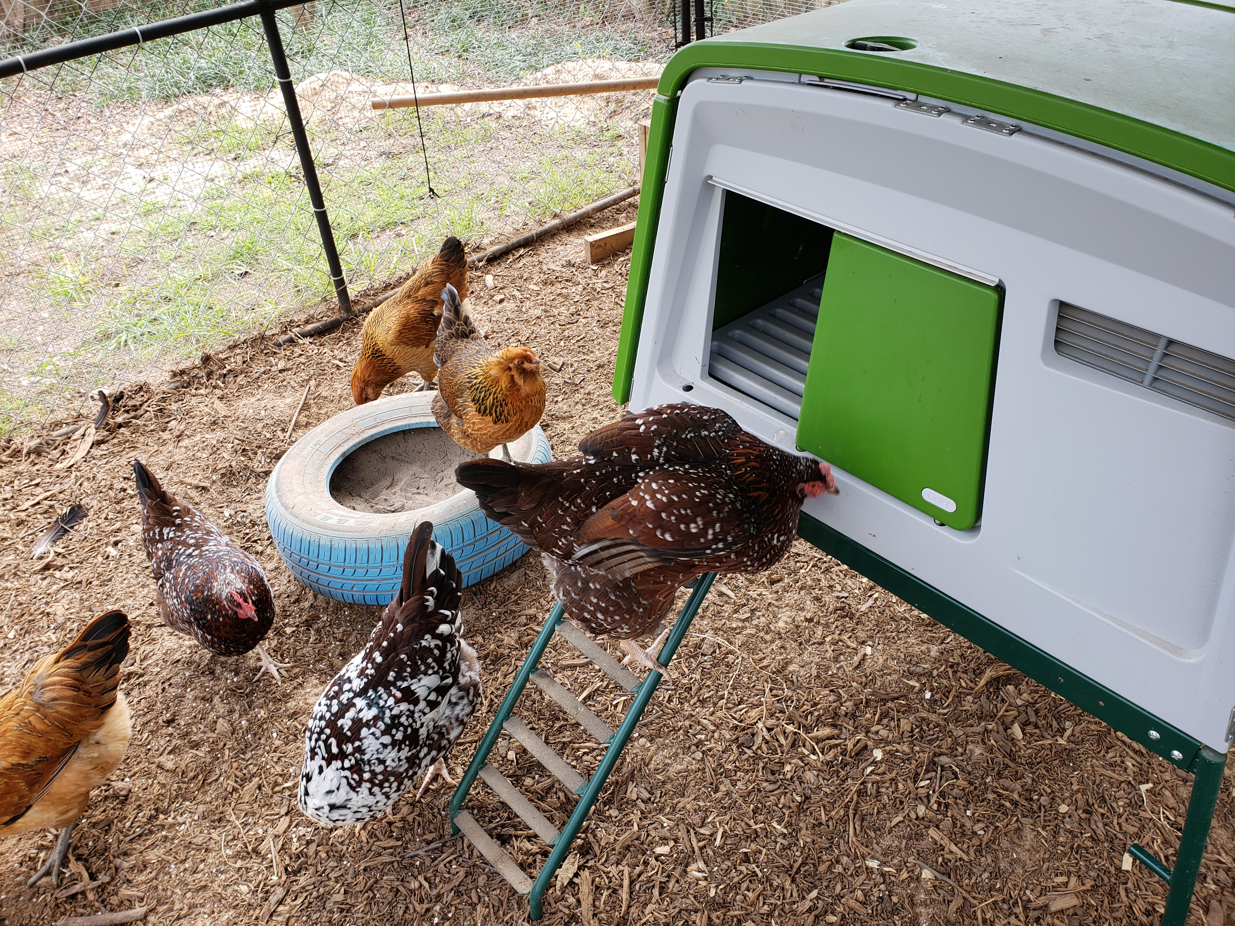 Eglu Chicken Coop Easy to Clean Fox Proof Hen House