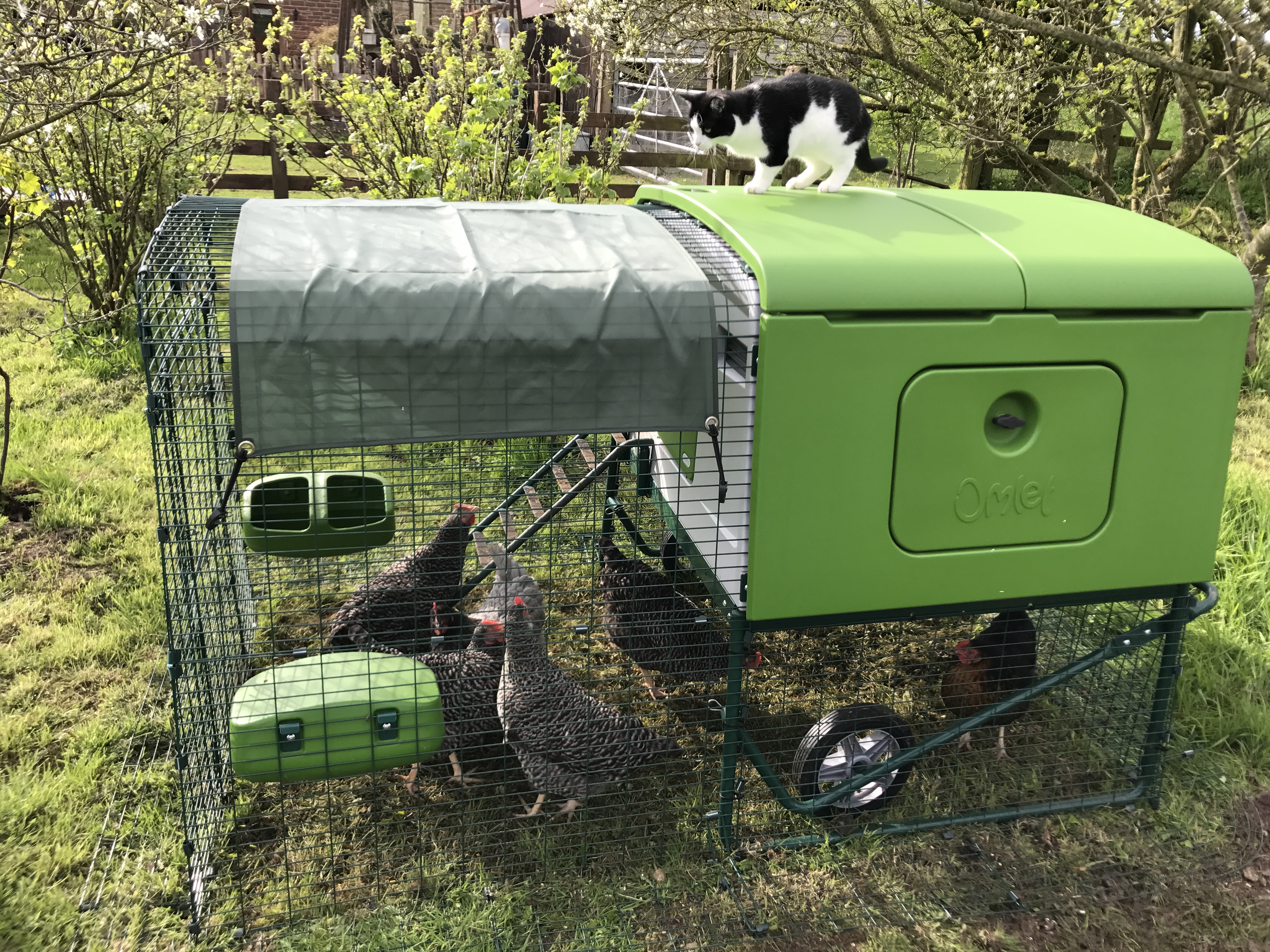 New Eglu Cube Chicken Coop Chicken Coops and Pet Chicken Accessories