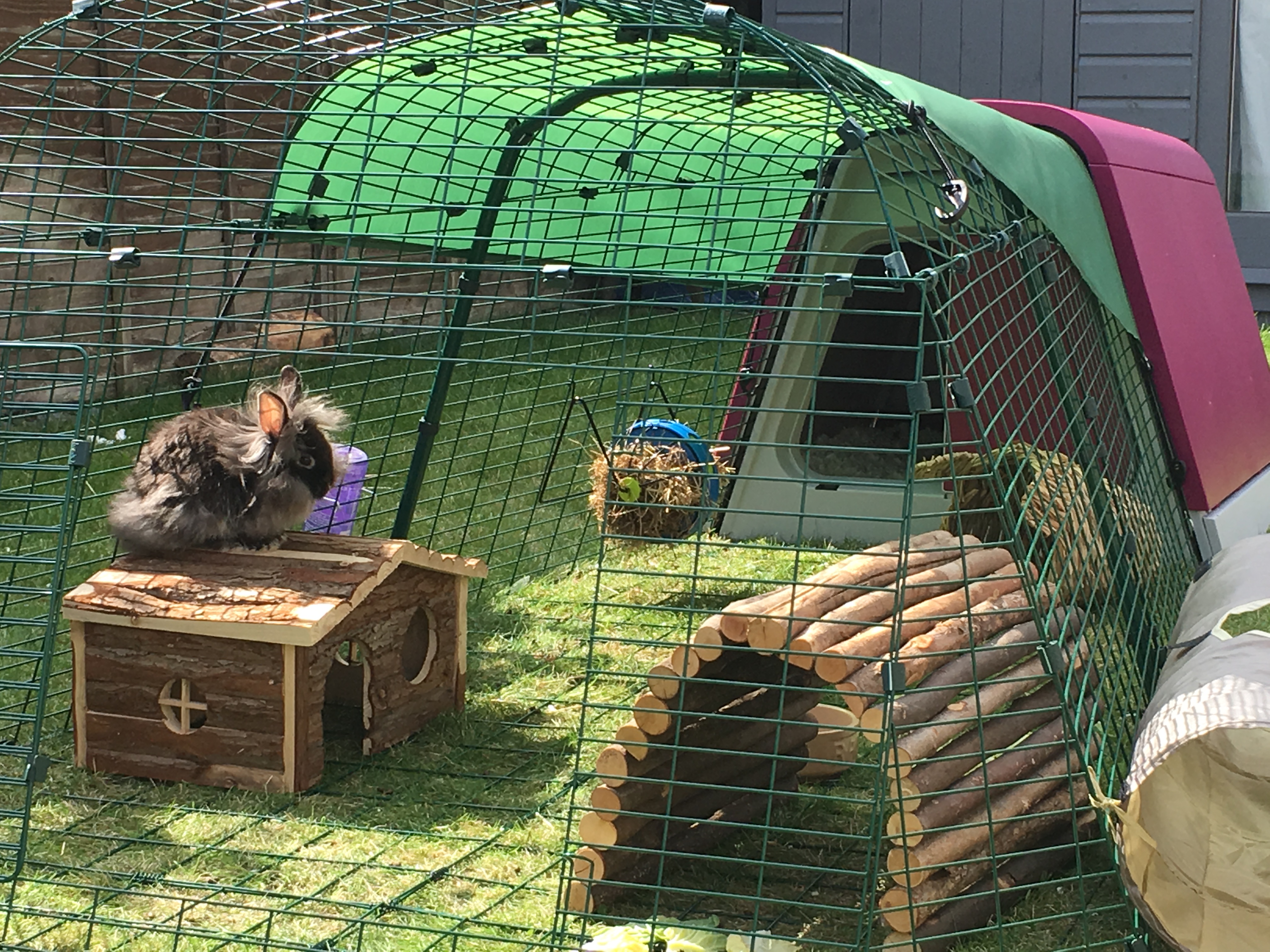 Eglu Go Rabbit Hutch Rabbit Hutches, Rabbit Runs and Rabbit Tunnels