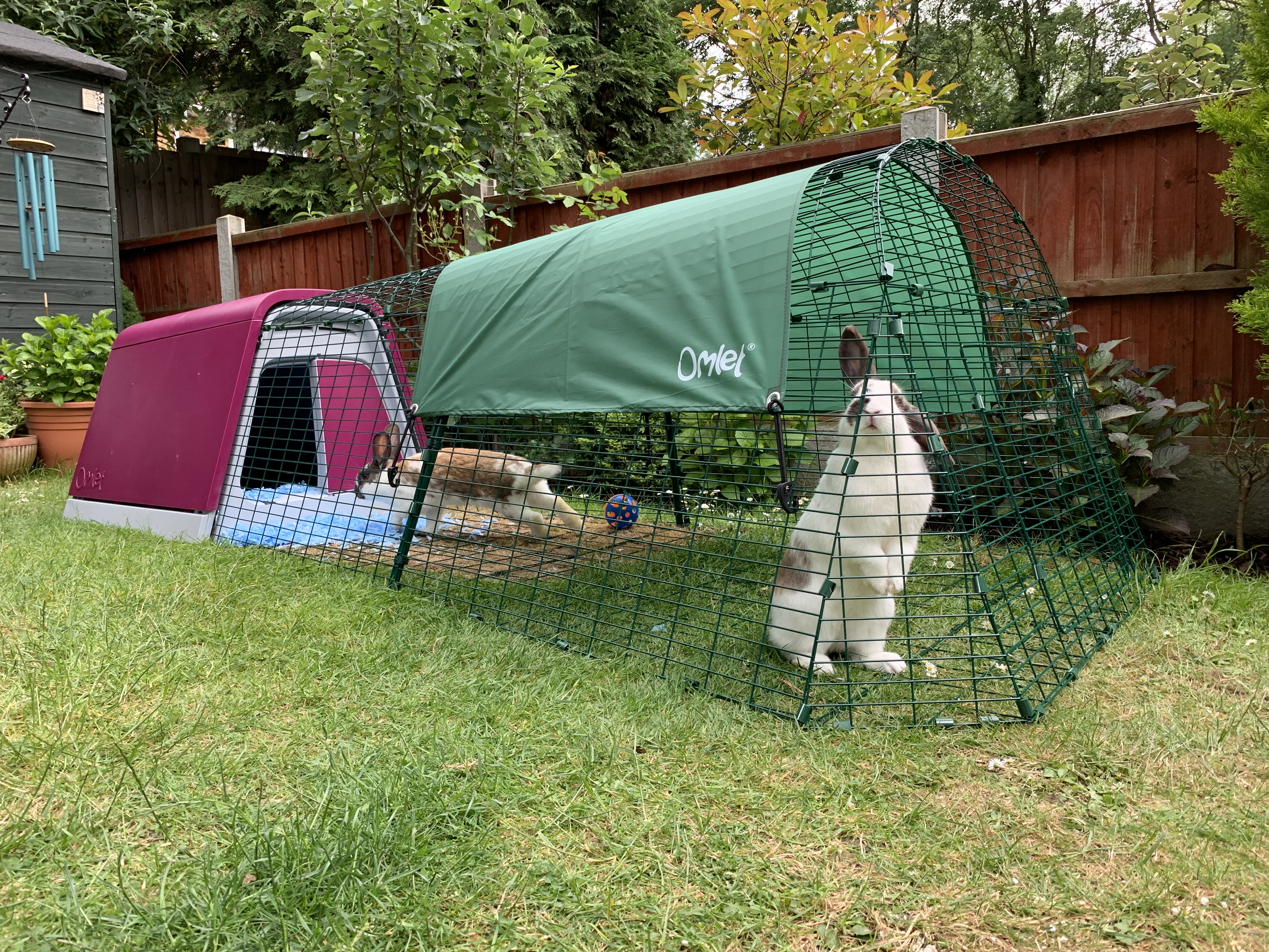 Eglu Go Rabbit Hutch Rabbit Hutches, Rabbit Runs and Rabbit Tunnels