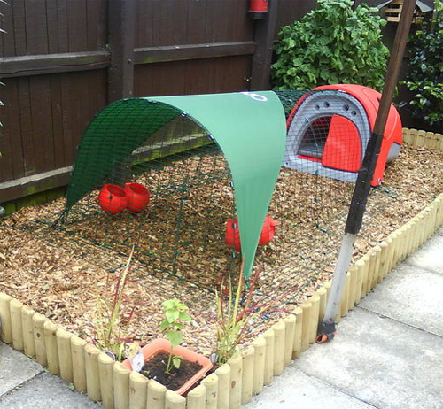 Wood Chippings For Garden Design Ideas Wood Chippings For Garden Design Ideas