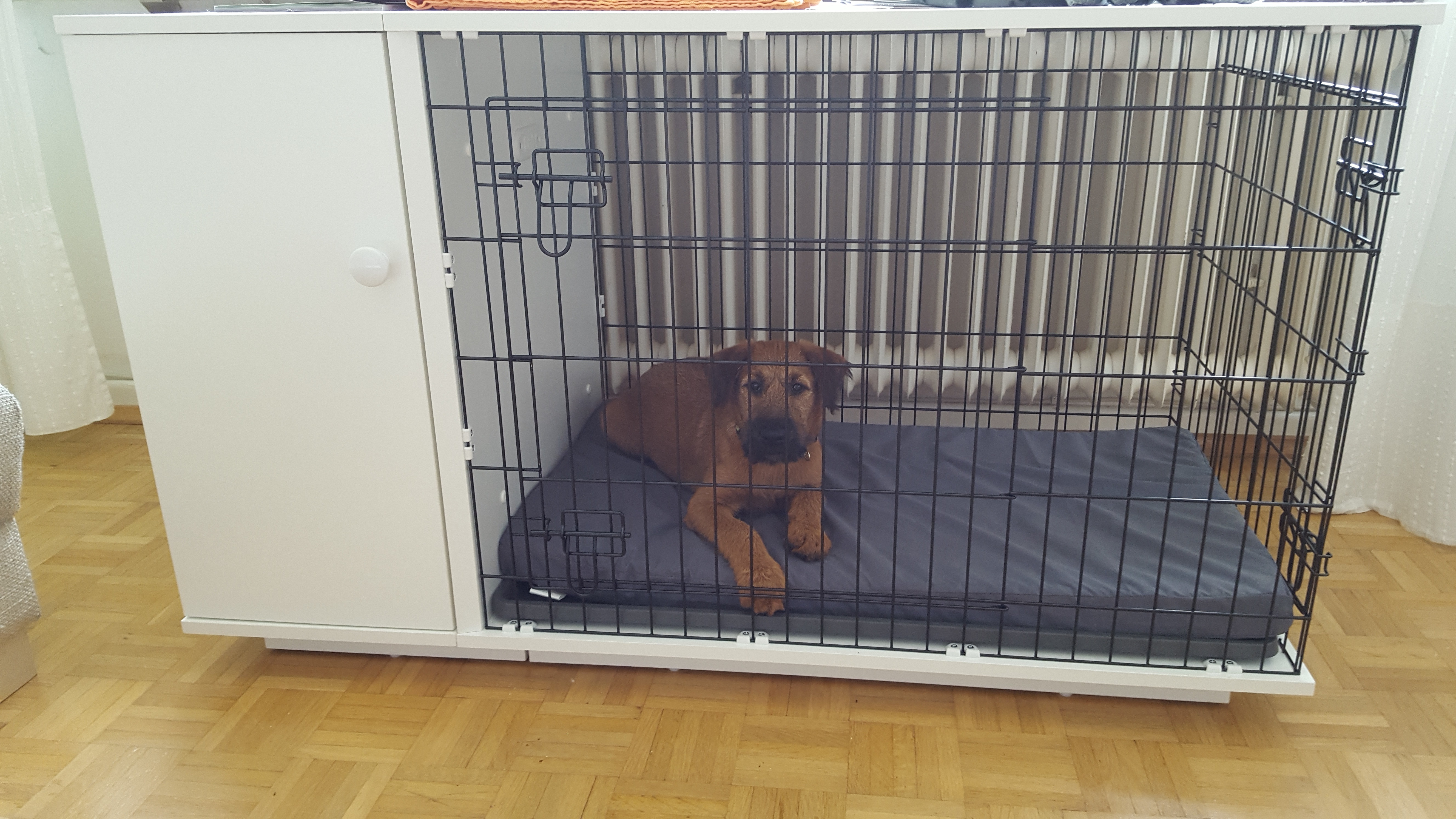 New Fido Dog Crate Dog Products Omlet - Irish Terrier new fido dog crate dog products omlet - irish terrier