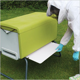 Inspection Tray