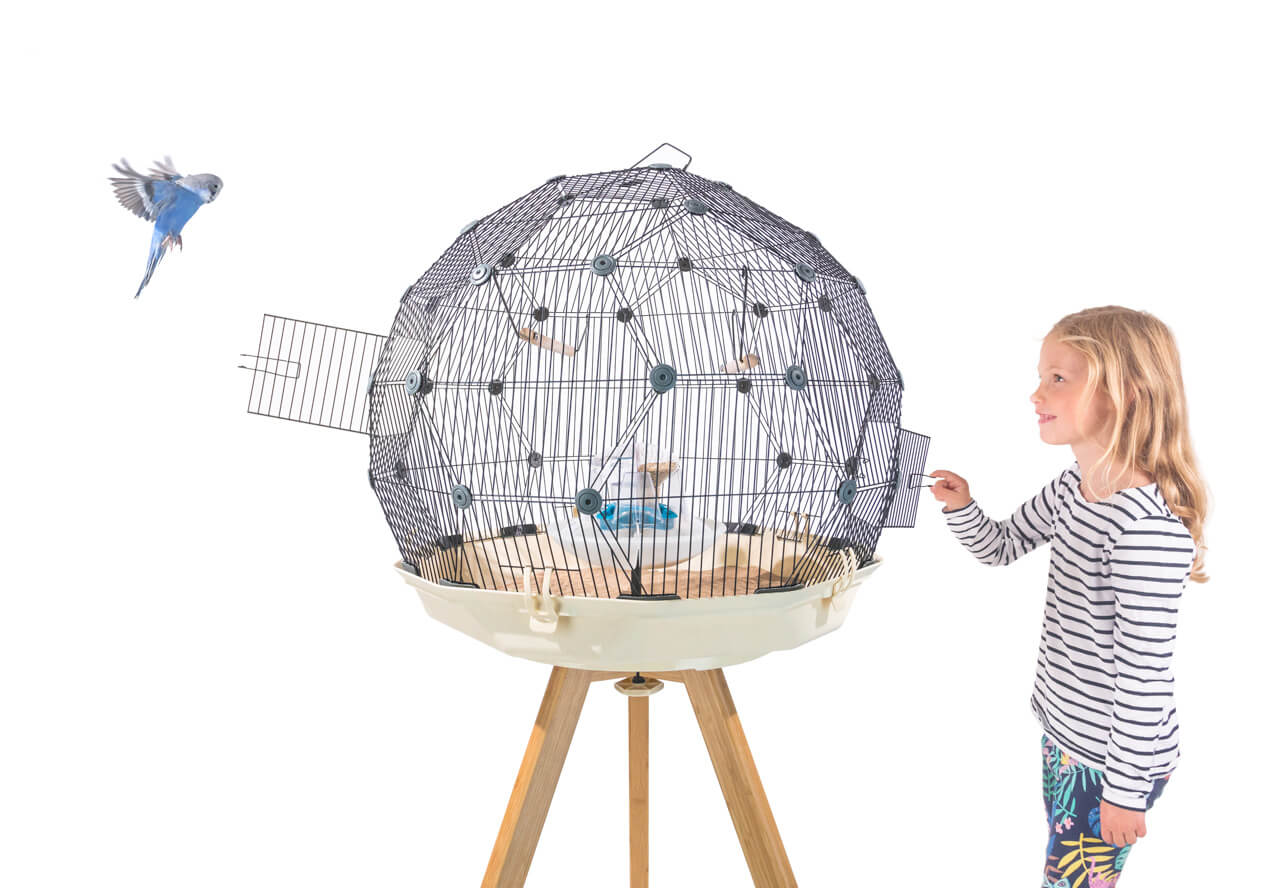 A young girl opening the door of the Geo Bird Cage while a blue budgie flies towards an open door on the other side of the cage