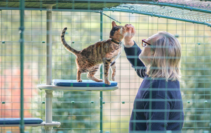 Man and cat inside a cat enclosure enjoying the personalised outdoor cat tree