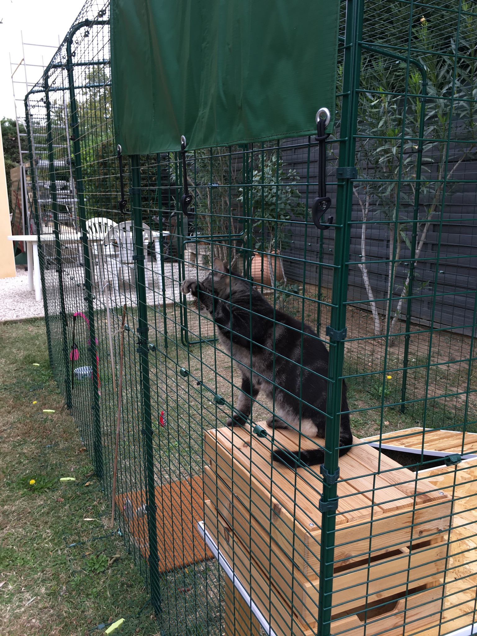 Outdoor Cat Run Outdoor Cat Runs, Indoor Cat Houses, Luxury Cat Beds