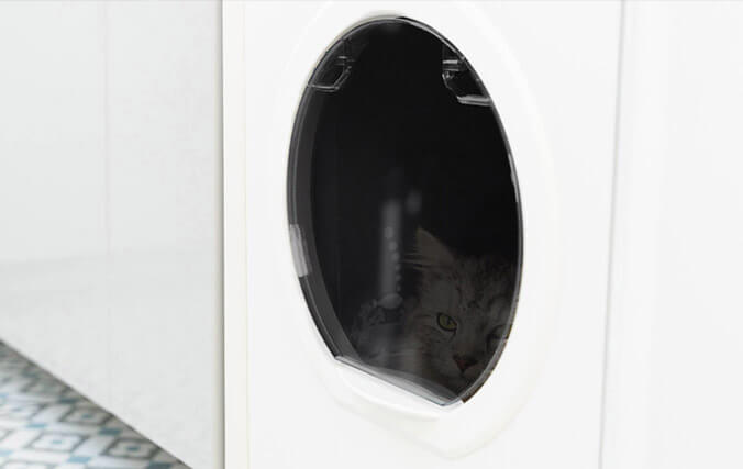 cat inside the walk in cat litter box with clear door
