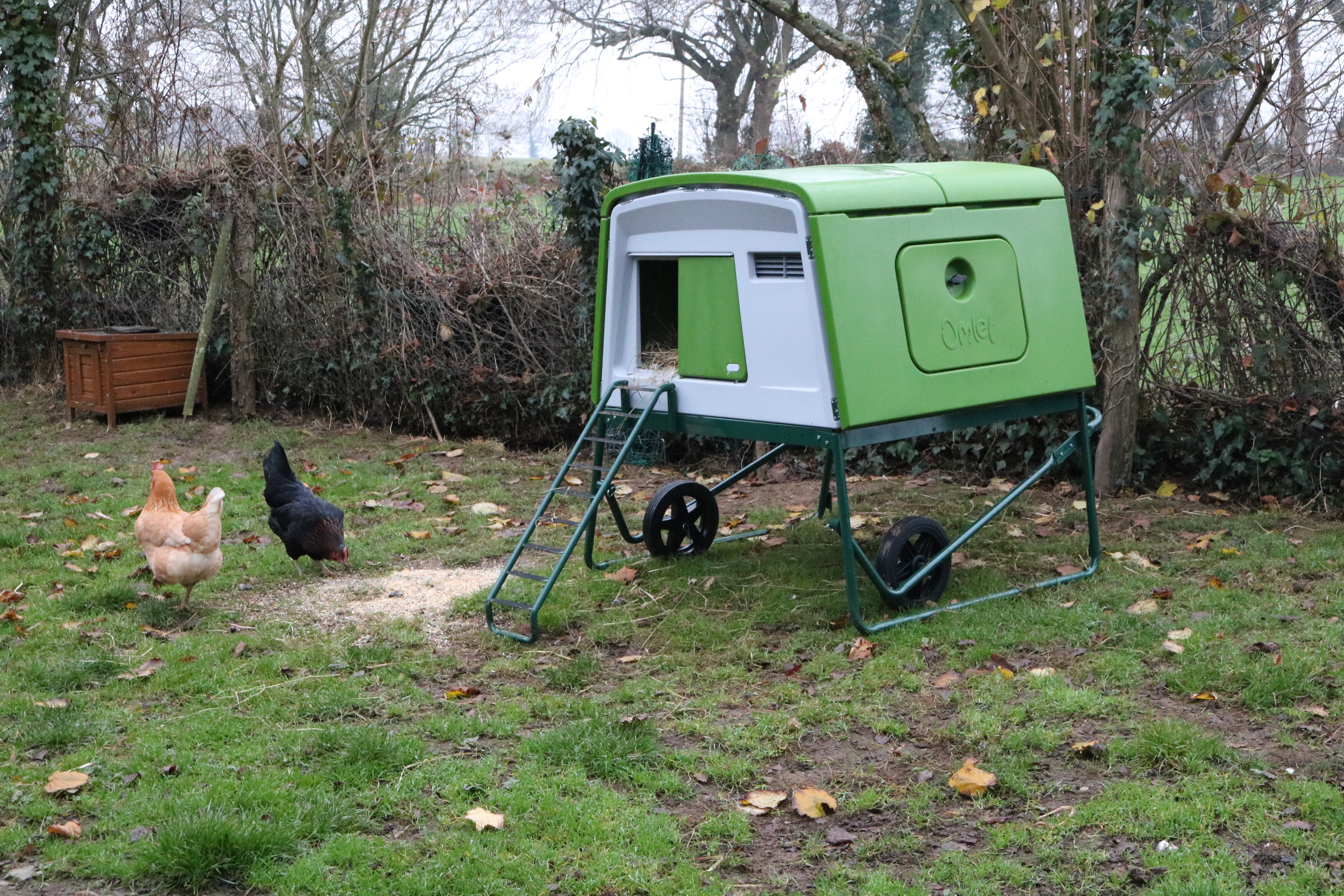 New Eglu Cube Chicken Coop Chicken Keeping Omlet