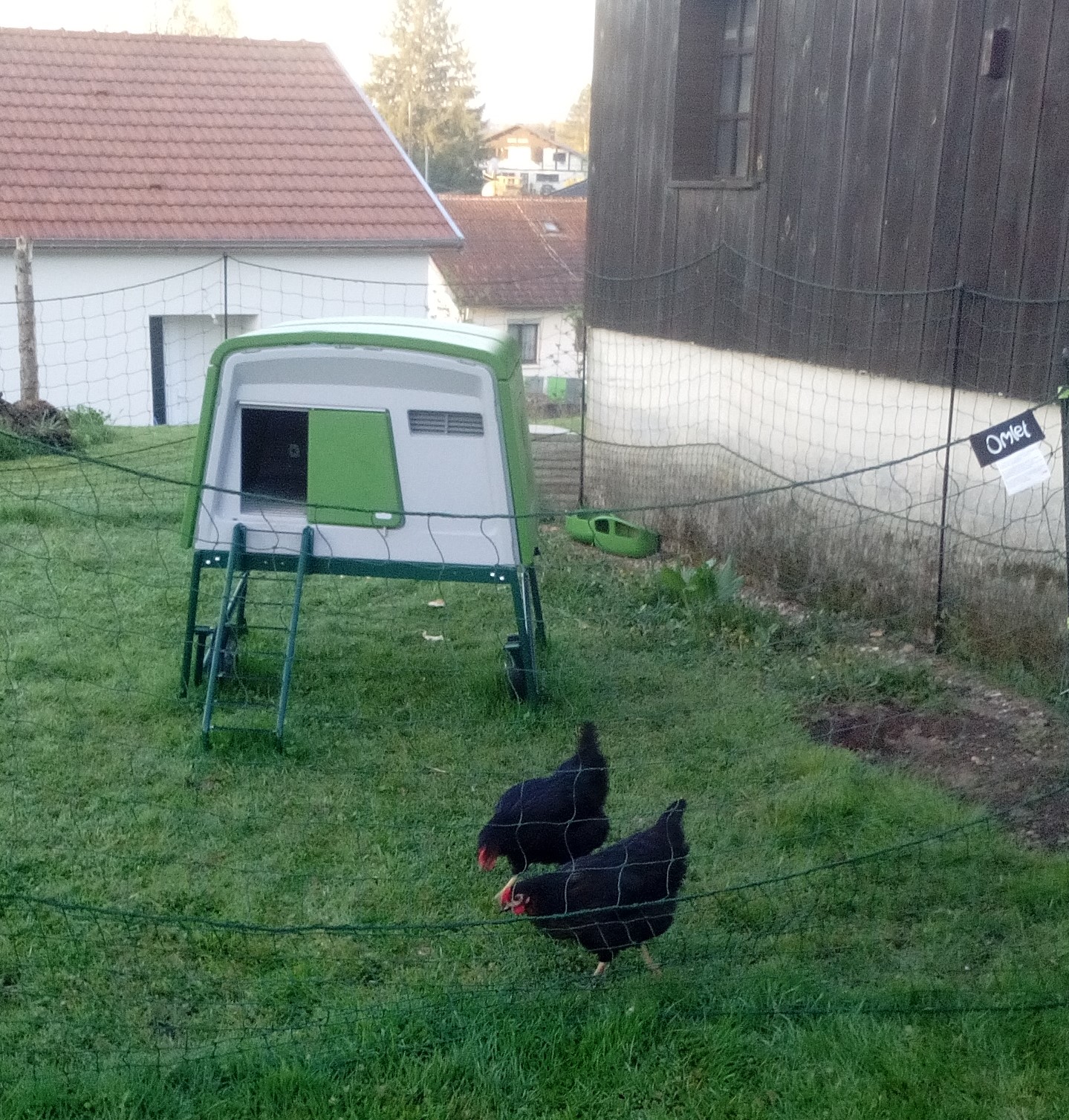 New Eglu Cube Chicken Coop Chicken Coops and Pet Chicken Accessories
