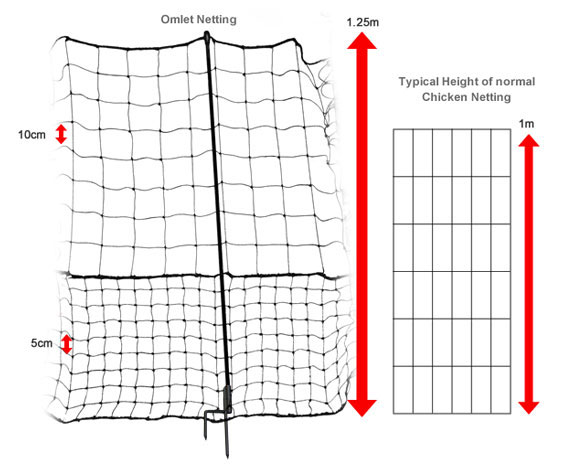 The dimensions of Omlet chicken fencing.