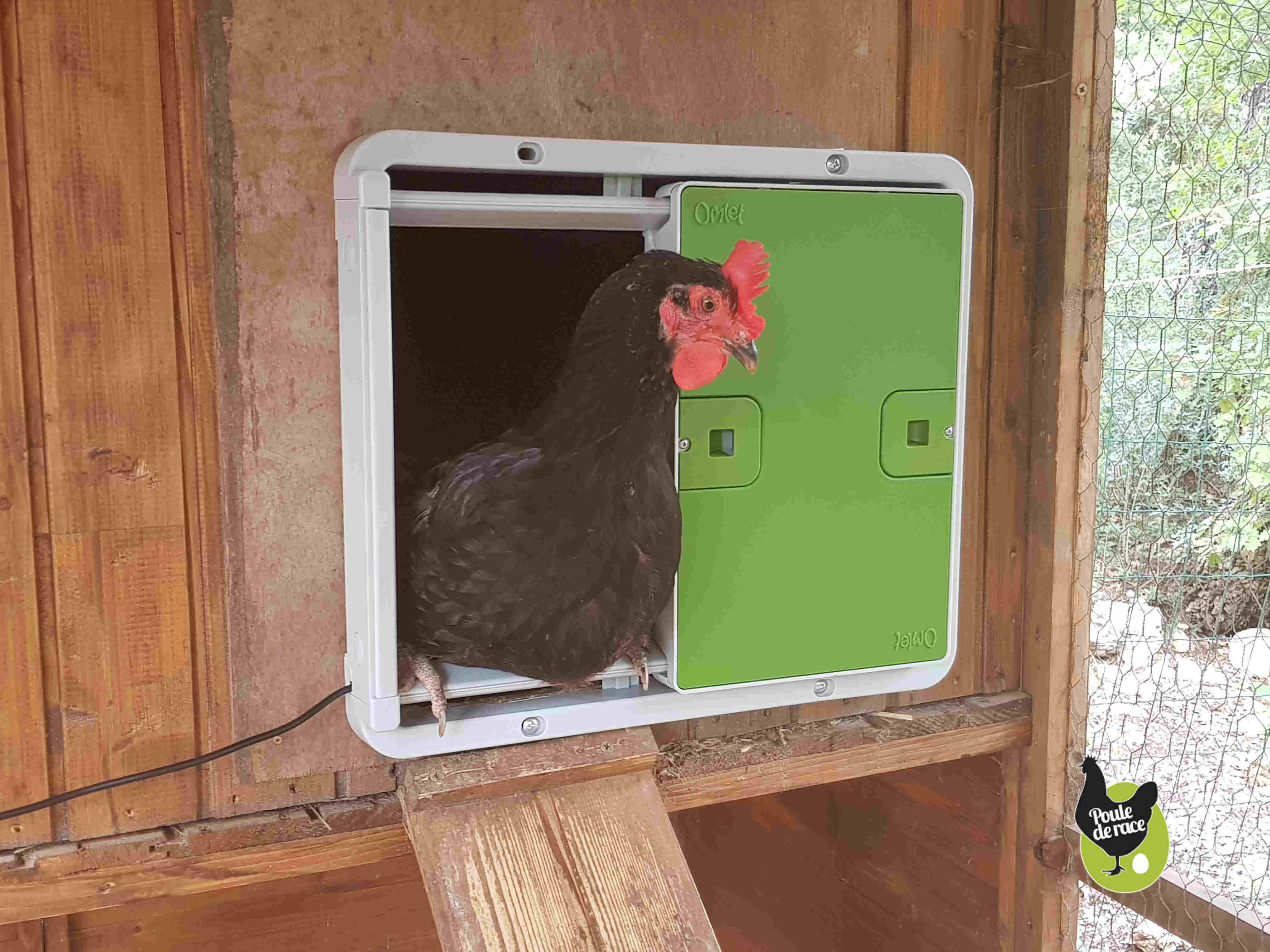 automatic chicken coop door sideways automatic chicken coop door sideways