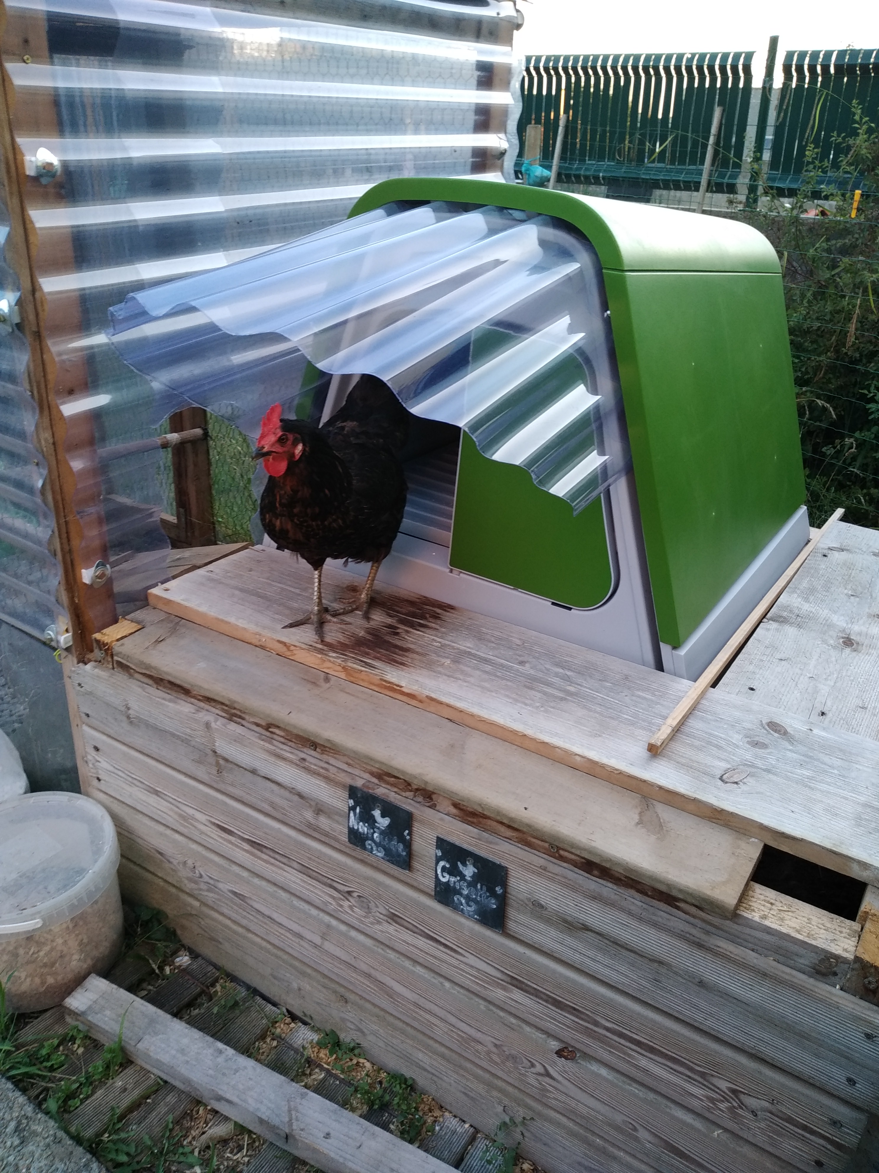 Eglu Go Chicken Coop With 2m Run Package Leaf Green