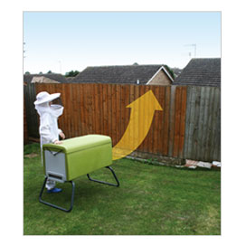 Bees normally fly above 5m high