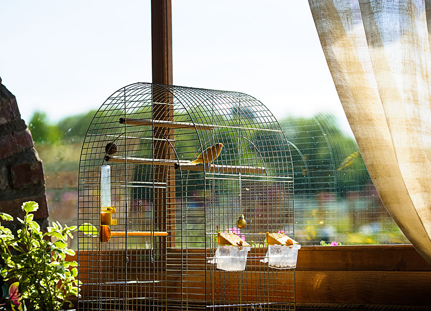 Traditional Canary cage