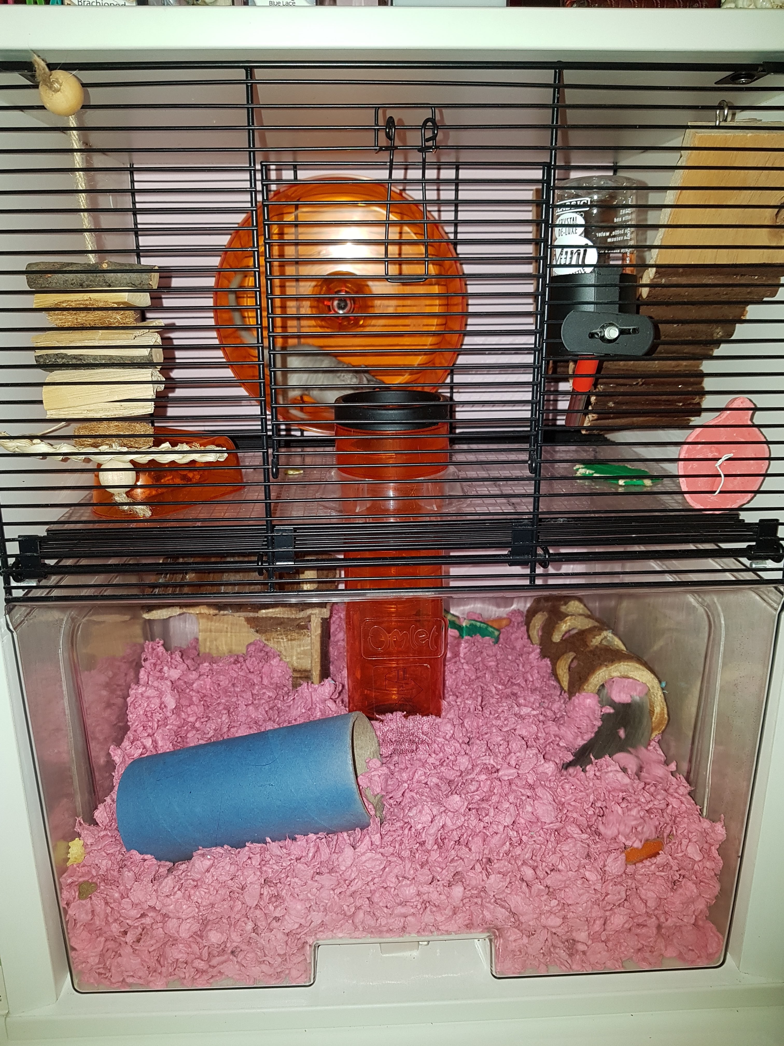Qute Hamster & Gerbil Cage Stylish Hamster House